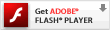 FLASH�v���[���[�_�E�����[�h